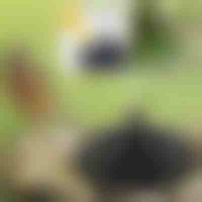 Съживете градината си с магическата соларна фонтанка | FONTANA