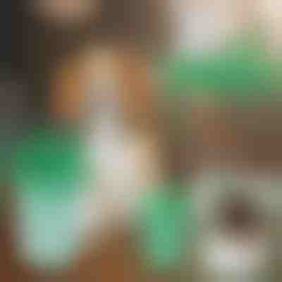 Чаша за Почистване на Кучешки Лапи | PAWSANI