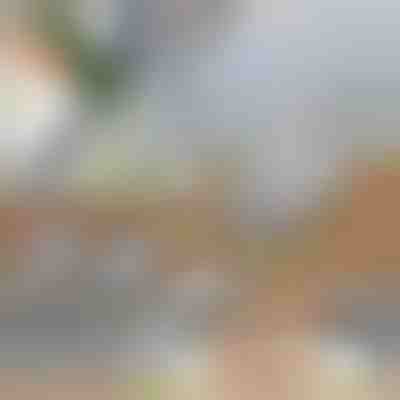 Многофункционален резач за зеленчуци | SLICEIEST (4 Остриета БЕЗПЛАТНО)