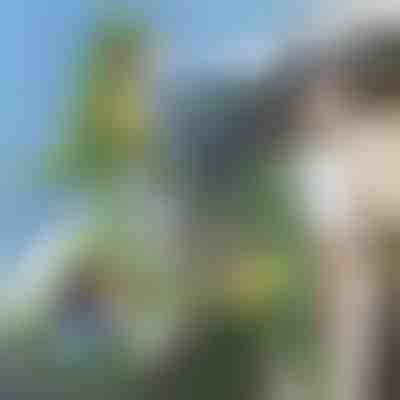 3D Раница с Форма на Динозавър | DINOBACK