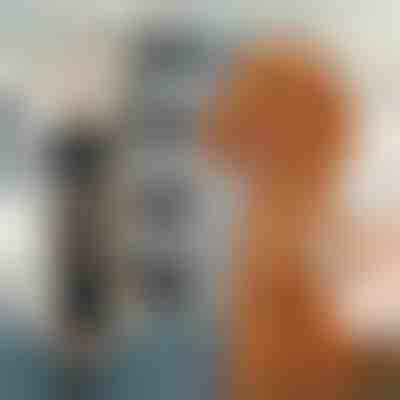 Комплект машинка за подстригване на домашни любимци | GULAMACHINE