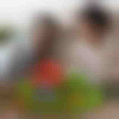 Магнитни кубчета за миникрафт (48 бр.) | MAGCRAFTI