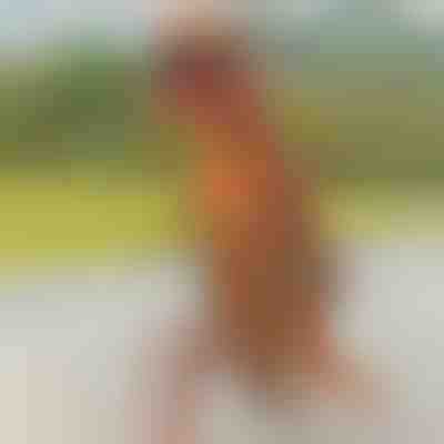 Надуваем костюм на динозавър | TREXCOS